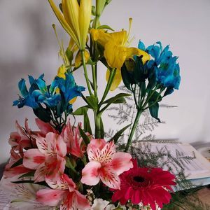 Meet your Posher, Eli